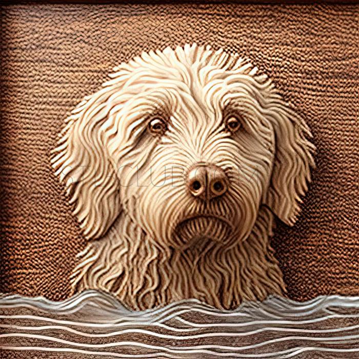 3D model st Spanish Water dog (STL)